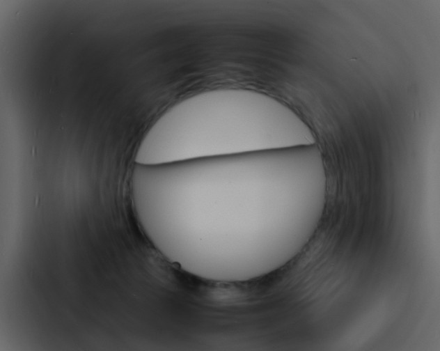 X0000088130177200705141004