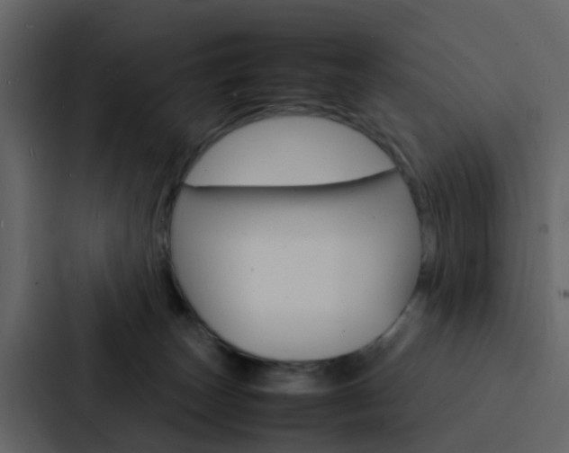 X0000088130179200705141005