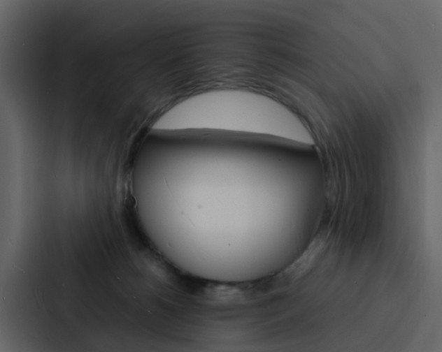 X0000088130180200705141005