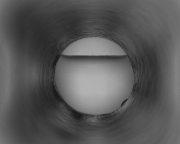 X0000088130182200705141005