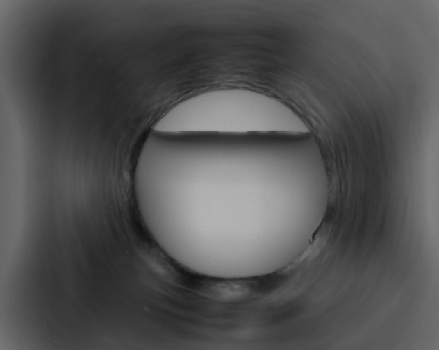X0000088130183200705141005