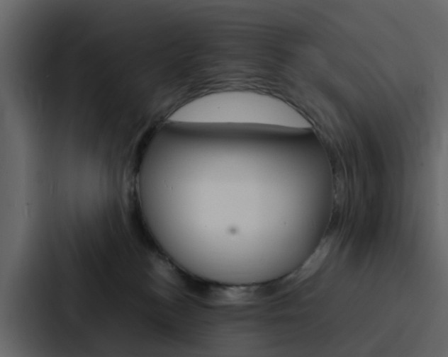 X0000088130184200705141005