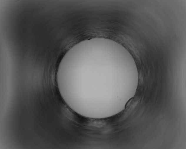X0000088130185200705141005