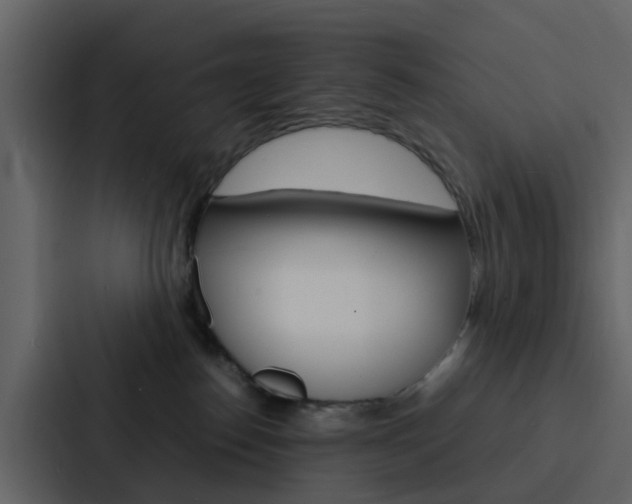 X0000088130186200705141005
