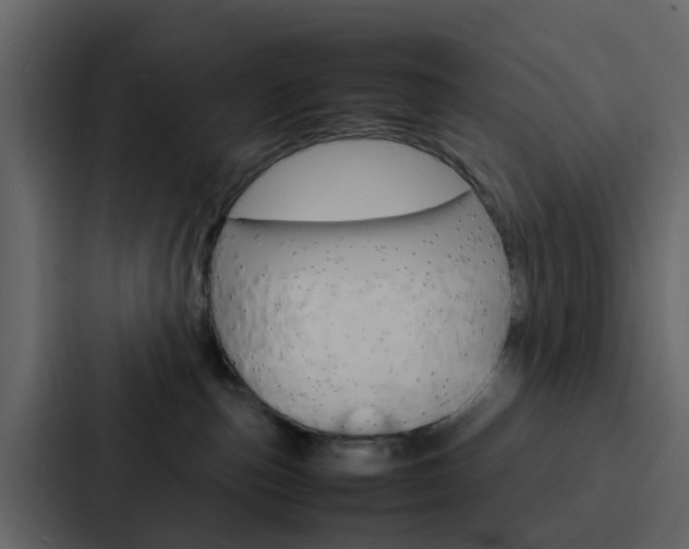 X0000088130187200705141005
