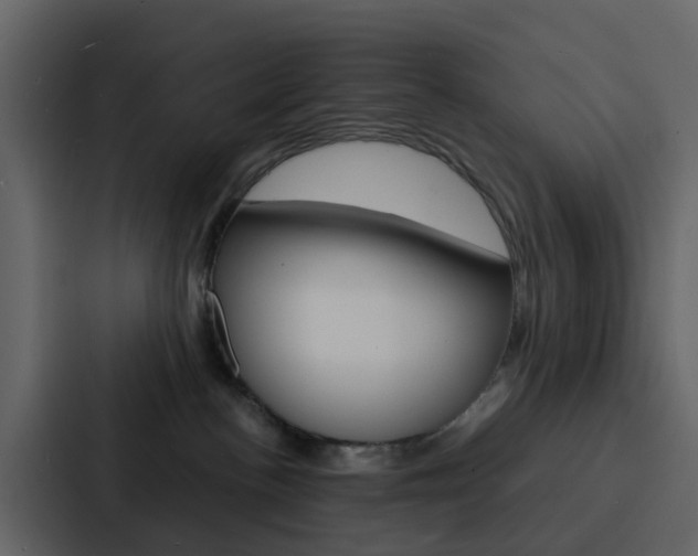 X0000088130188200705141005