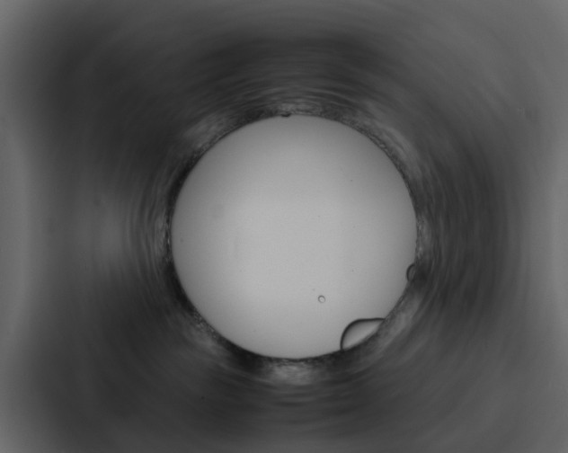 X0000088130189200705141005