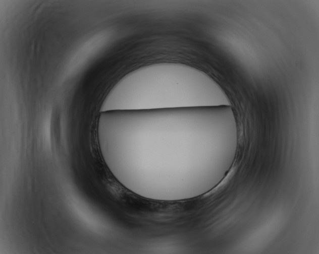 X0000088130191200705141005