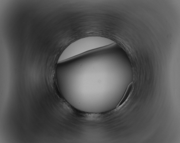 X0000088130192200705141005