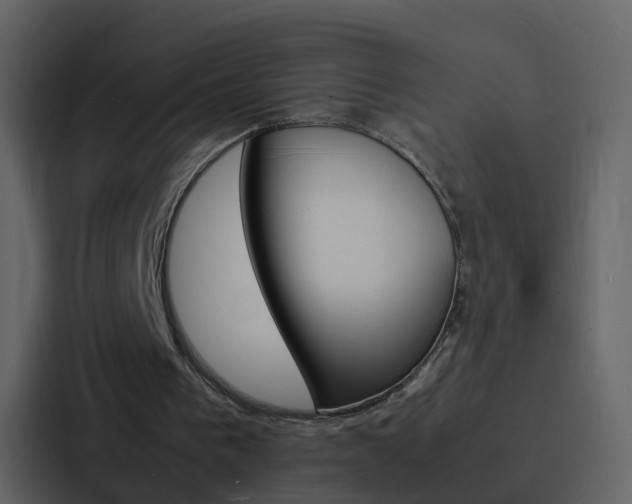 X0000088130193200705141004