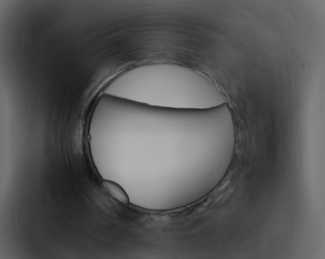 X0000088130194200705141004