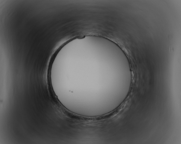 X0000088130196200705141004
