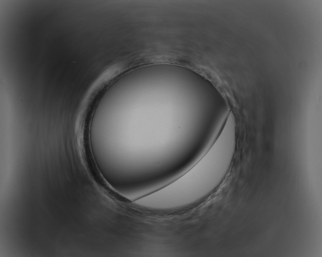 X0000088130197200705141004