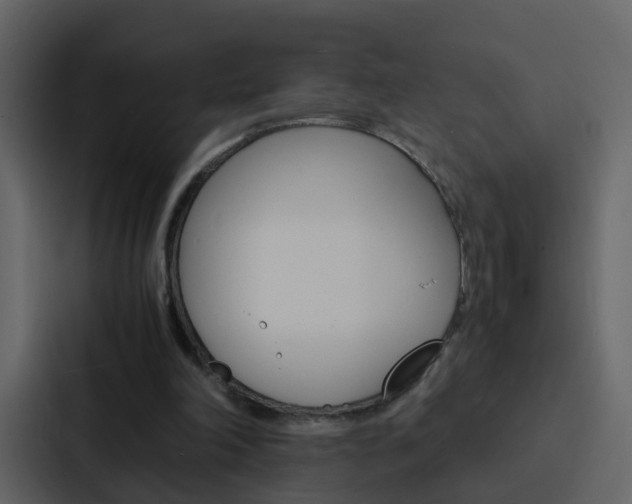 X0000088130198200705141004