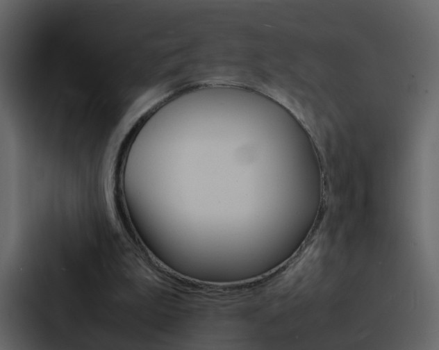 X0000088130199200705141004