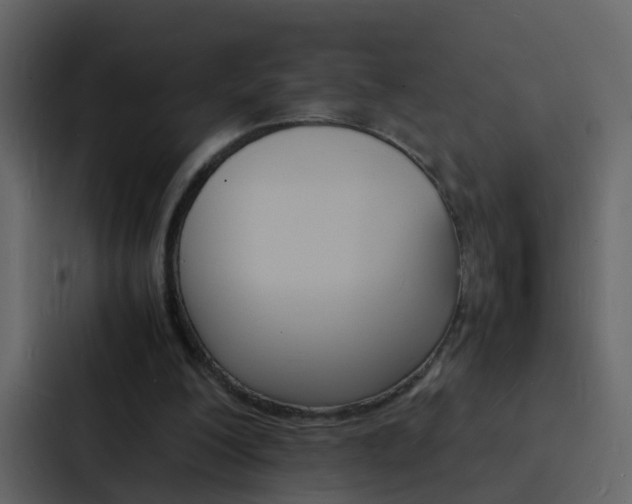 X0000088130200200705141004