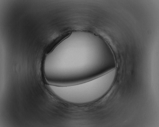 X0000088130201200705141004