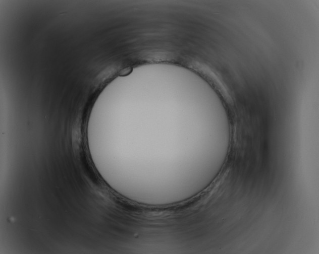 X0000088130202200705141004