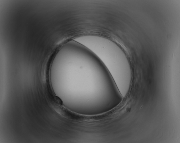 X0000088130203200705141004