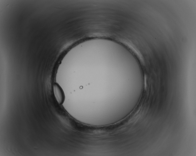 X0000088130204200705141004