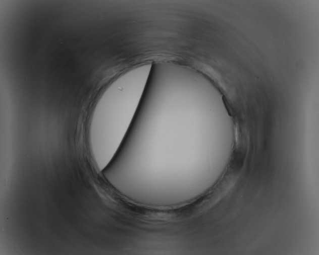 X0000088130205200705141004