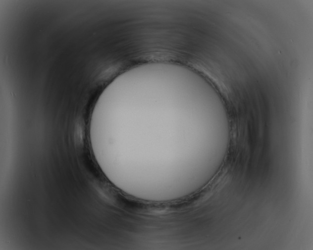 X0000088130206200705141004