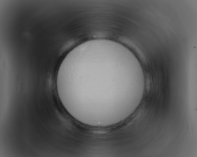 X0000088130208200705141004