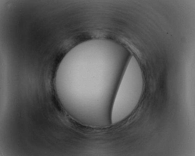 X0000088130209200705141004
