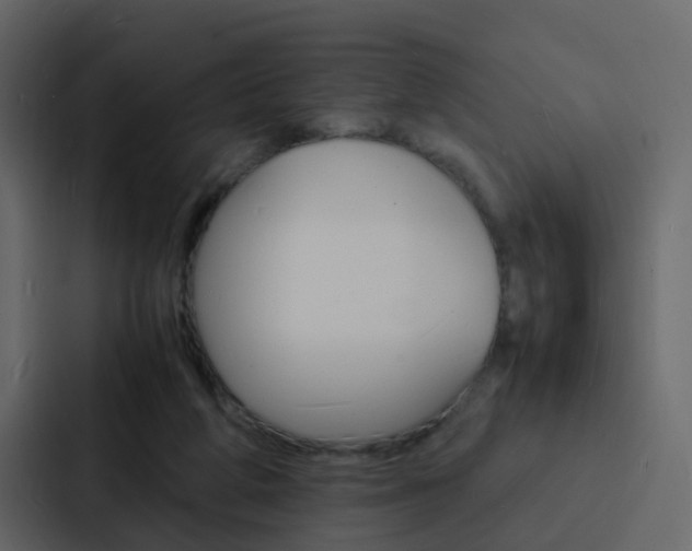 X0000088130210200705141004