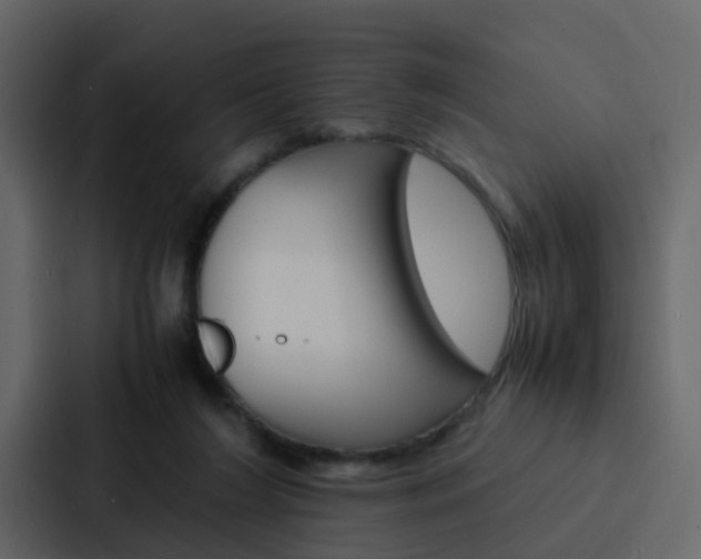 X0000088130212200705141004