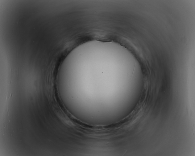 X0000088130215200705141004
