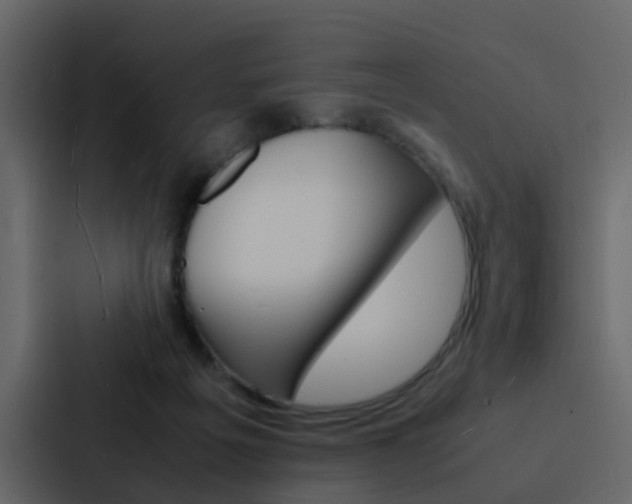 X0000088130217200705141004
