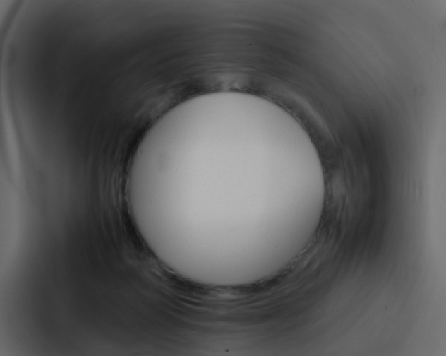 X0000088130218200705141004