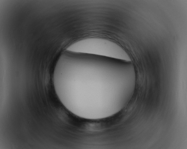 X0000088130220200705141004