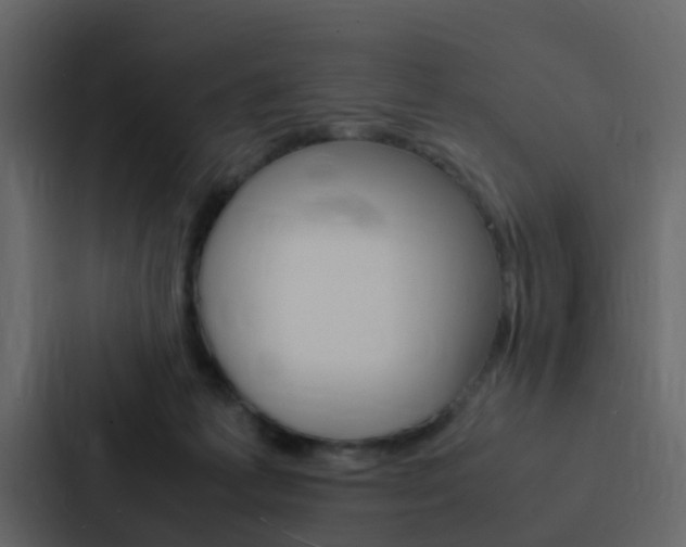 X0000088130221200705141004