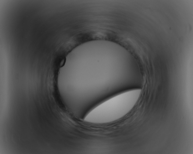 X0000088130223200705141004