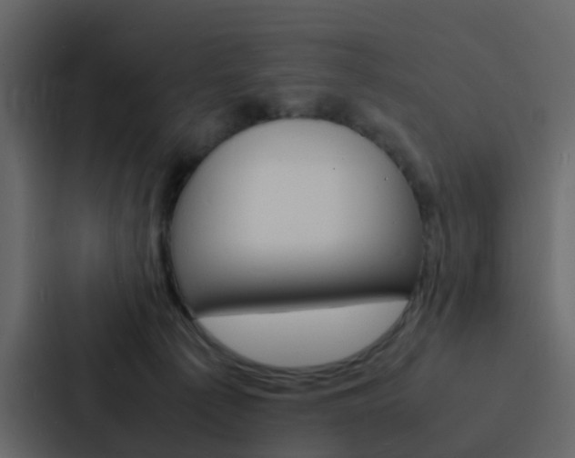 X0000088130225200705141004