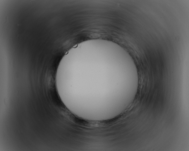 X0000088130226200705141004