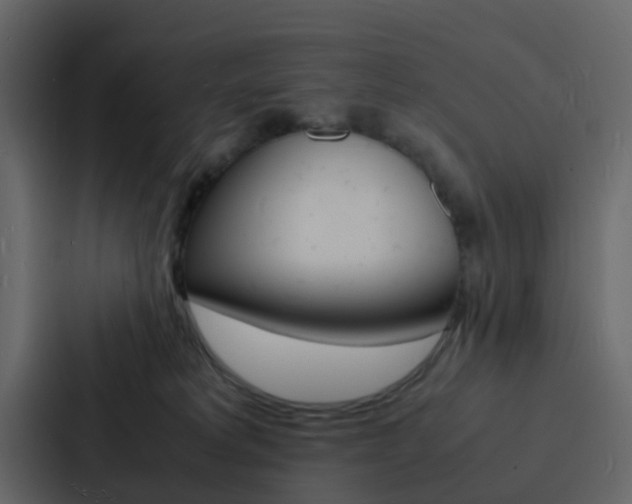 X0000088130229200705141004