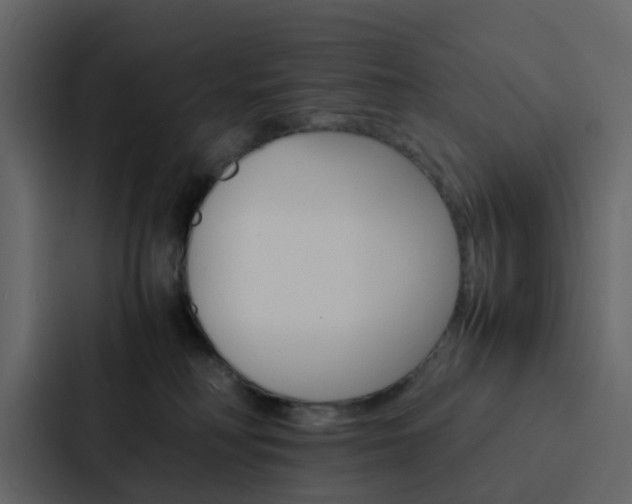 X0000088130230200705141004