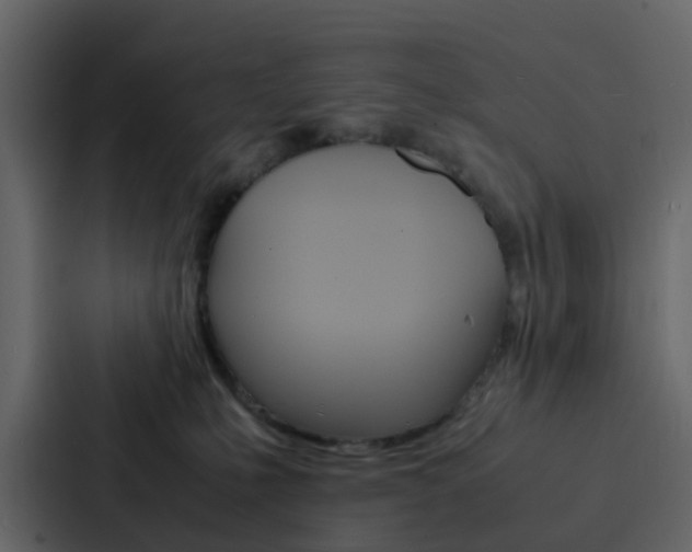 X0000088130231200705141004