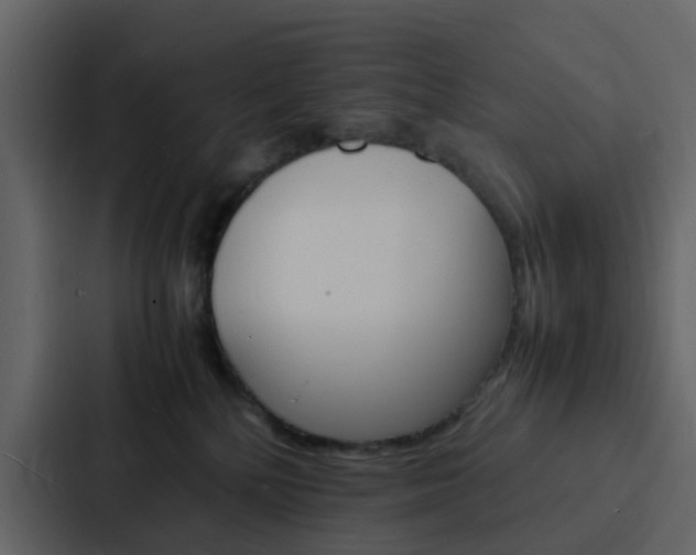 X0000088130232200705141004