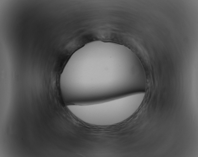 X0000088130233200705141004