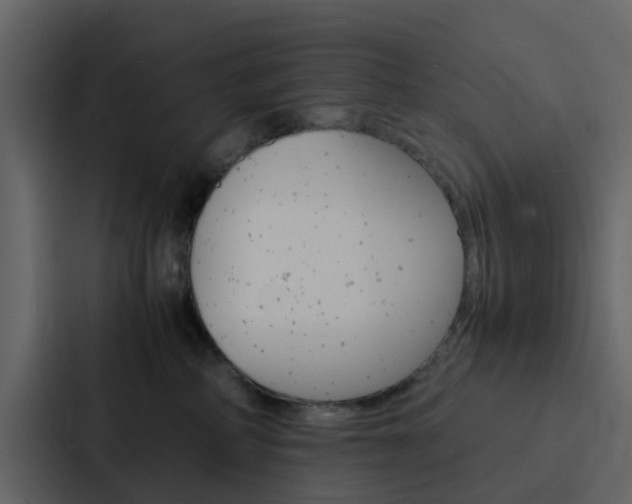 X0000088130234200705141004