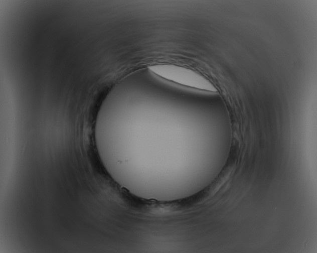 X0000088130235200705141004