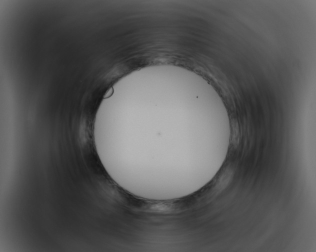 X0000088130236200705141004
