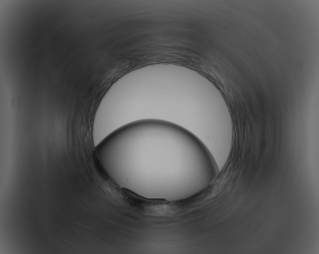 X0000088130237200705141003