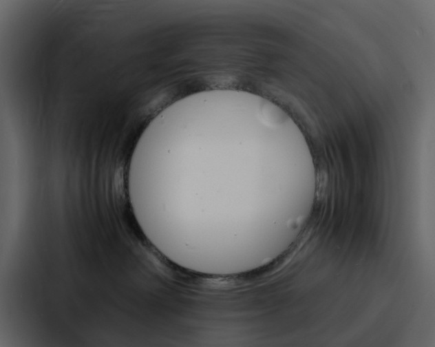 X0000088130238200705141003