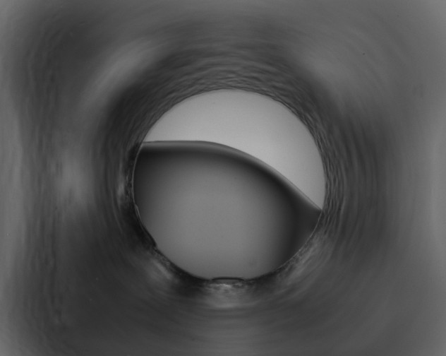 X0000088130239200705141003