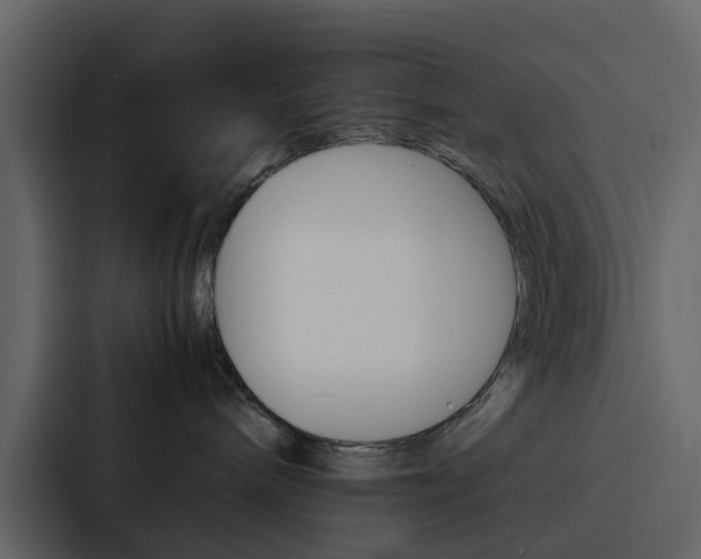 X0000088130240200705141003
